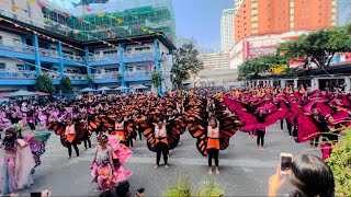 PARUPARO FESTIVAL UPPER VIEWFIELD DEMO 2023 [upl. by Pinzler]