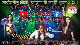 DJ Payel  পরিচালনায় আলিপুর টাইগার ক্লাব [upl. by Romano]