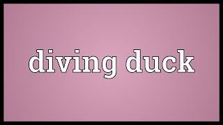 Diving duck Meaning [upl. by Voccola]