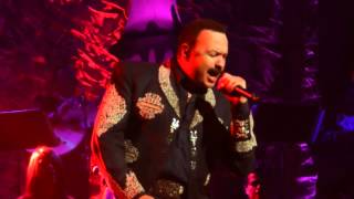 Hermoso Cariño  Pepe Aguilar [upl. by Ahsilahs]