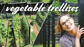 My Garden Trellis for Vegetables  DIY Design for Cucumbers Tomatoes amp Beans [upl. by Shelby]