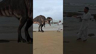 T Rex in Beach animationvfxdinosaurfunnyroar [upl. by Lunnete]