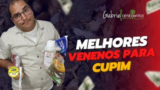 Melhores Venenos Para Matar Cupim  Descupinização  Gabriel Ambiental [upl. by Meela]