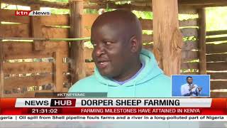 Dorper sheep farming How Kenyans are investing in dorper breeds from South Africa [upl. by Jordans]