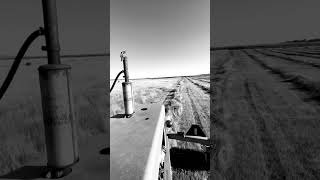 swathing hay farming johndeere farmlife agriculture [upl. by Kirtap253]