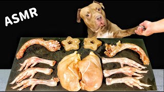 ASMR MUKBANG PITBULL EATING RAW FOODS [upl. by Nosnehpets]