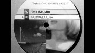 tony esposito  kalimba de luna dj tonka mix [upl. by Hpseoj]