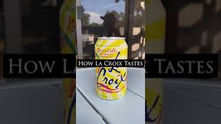 How LaCroix tastes [upl. by Atkinson86]