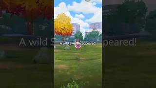 Pokemon go catching a swellow37 [upl. by Orecul]