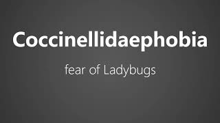 How To Pronounce Coccinellidaephobia  fear of Ladybugs [upl. by Carilyn333]