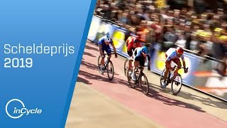 Scheldeprijs 2019  Full Race Highlights  inCycle [upl. by Atiner627]