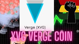 VERGE COIN NEWS AND UPDATES LATEST ANALYSIS PREDICTION 2024 [upl. by Navetse]