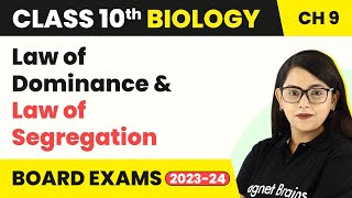 Class 10 Biology Chapter 9  Mendel’s Findings Law of Dominance and Law of Segregation [upl. by Nosyerg]