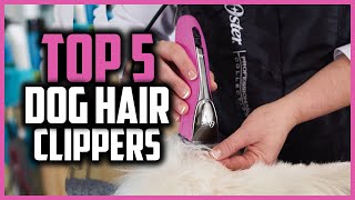 ✅Top 5 Best dog hair clippers in 2024 [upl. by Novehs]