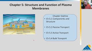 BIOL201 Ch51  Components and Structure Plasma Membrane [upl. by Baptiste]