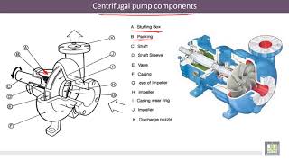 Hydraulic Machines  58  Centrifugal Pump Calculation of the Manometric Head [upl. by Irina]