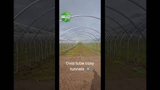 Oval tube cosy tunnels in Scotland [upl. by Asit]