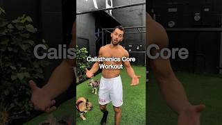 Calisthenics Core Workout  Beginner to Expert [upl. by Annailuj]