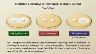 Antibiotic Resistance Antibiotics  Lecture 9 [upl. by Htesil741]