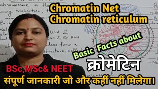 Chromatin Structure Euchromatin Heterochromatin amp Functionsक्रोमेटिन की जानकारी।NEETBScMScSTD [upl. by Aynwad]