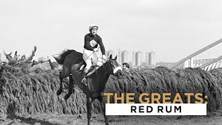 THE ONLY HORSE TO WIN THREE GRAND NATIONALS AT AINTREE RACECOURSE [upl. by Pearlman308]