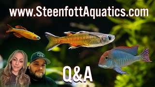 Steenfottaquaticscom QampA Ask Us Anything About Freshwater Aquariums [upl. by Llenet]