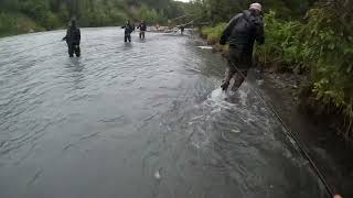 Sockeye Salmon Fishing On The Kasilof River [upl. by Iadrahs]