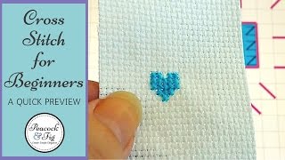 Cross stitch for beginners  a quick preview [upl. by Haleigh]