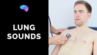 Lung sounds respiratory auscultation sounds  UKMLA  CPSA [upl. by Ramsdell469]