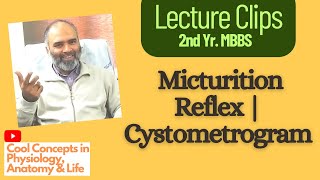 All you need to know about the Micturition Reflex  Cystometrogram  Guyton [upl. by Halehs]