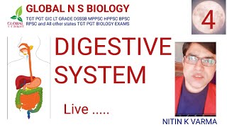 Digestive system Lecture 4 [upl. by Lolanthe355]