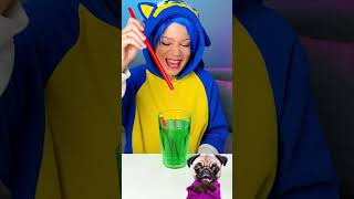 SONIC VS PIKA AND THE IMPOSSIBLE STRAW CUT 🐾 DOG REACTS funnyanimals dog sonic [upl. by Egres]