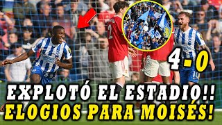 HINCHAS DE BRIGHTON ENLOQUECEN CON EL PARTIDAZO DE MOISÉS CAICEDO VS MANCHESTER UNITED CON GOL 💥 [upl. by Atalayah]