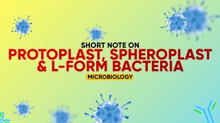 Short note  Protoplast Spheroplast amp Lform Bacteria  Microbiology [upl. by Kincaid]