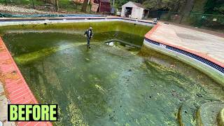 From Murky Waters to Brilliant Blue Pool Transformation Story pressurewashing timelapse [upl. by Simetra]