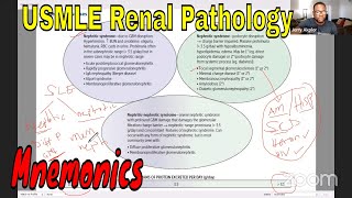 Renal Pathology Made easy with mnemonics  USMLE [upl. by Myrtie470]