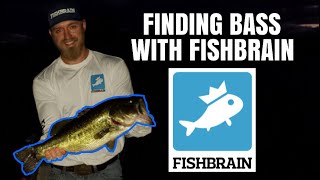 Finding Big Bass Using FISHBRAIN APP [upl. by Nbi]