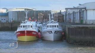 La pêche à la coquille SaintJacques Vendée [upl. by Tamanaha88]