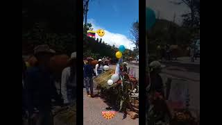 BOYEROS VENEZOLANOS fiesta y arrastre  v1018  BoyeoticoCR2024 [upl. by Onirefez]