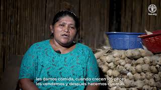 Empoderamiento económico de mujeres rurales en Alta Verapaz Guatemala [upl. by Franci]