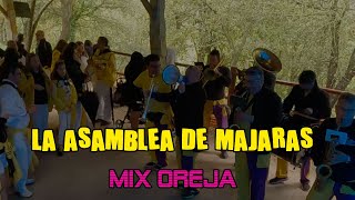 Charanga La Asamblea de Majaras  MIX OREJA  SanJuanDelMonte2024 [upl. by Quill]