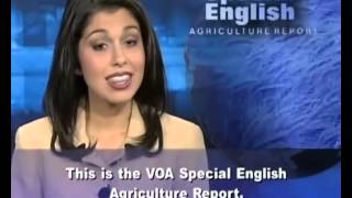 VOA learning English 2015 Part 9Agrculture ReportLuyện Nghe Tiếng Anh Qua Tin Tức VOA [upl. by Ulund497]