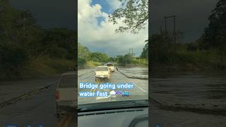 Belize River flooding bridge fast 🌧️☔️🚙🌉 [upl. by Lled209]