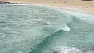 Bronte and Tamarama Surf Check Monday August 12th 2024 900am [upl. by Balbur]