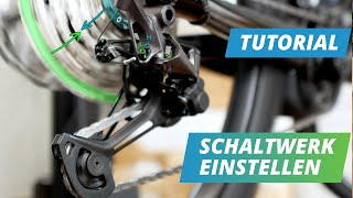 So stellt ihr euer Schaltwerk richtig ein  Elektrofahrrad24de [upl. by Orabel563]