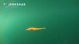 Incredible Bait Junkie 7quot Jerkshad Swimming Action [upl. by Aramo]