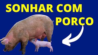 SIGNIFICADO DE SONHAR COM PORCO [upl. by Nniuq529]