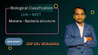 Bacteria Structure Class 11  Monera  NCERT  NEET  Biology [upl. by Nevyar]