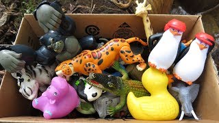 Variety of Zoo Animals for Kids Toy Showcase [upl. by Ashman]