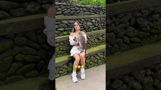 The animals 😂🤣 Fails funnyanimals animalsfunny pets shorts [upl. by Otrebile]